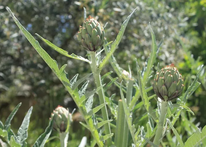 아파트 With A Parking Space Hvar - 4004 흐바르